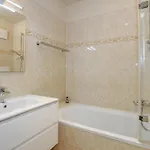 Seepferdchen 08