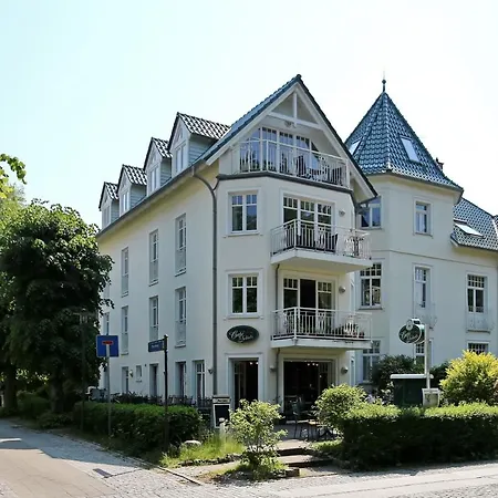 Seepferdchen 08
